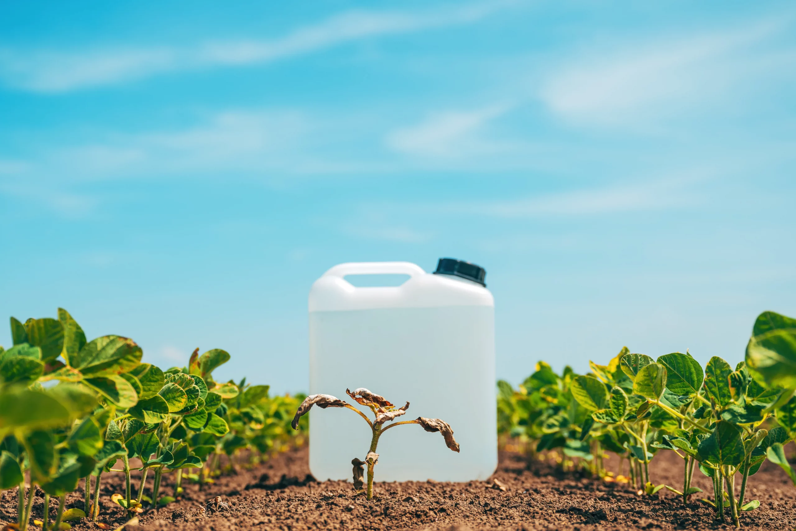 liquid fertilizer